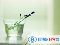 廣元2022年中考重點線錄取