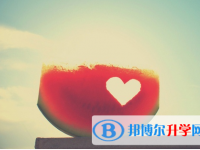 廣元2022年中考重點線上線