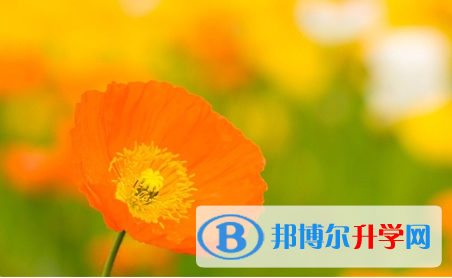 廣元2022年中考準考證信息