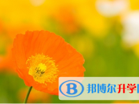 廣元2022年中考準考證信息