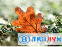 廣元2022年中考咨詢熱線電話號碼