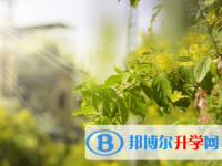 廣元2022年中考自主招生考試學校