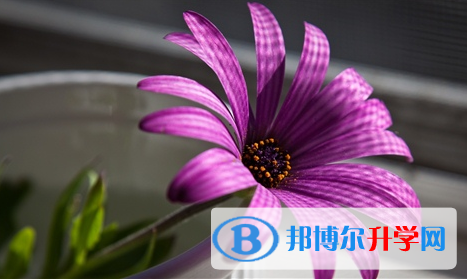 廣元2022年今年初中考試時間