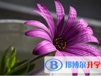 廣元2022年今年初中考試時間