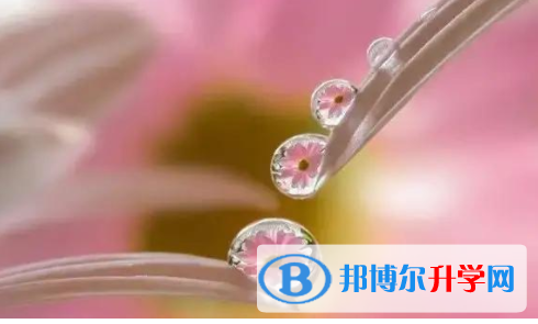廣元2022年中考各科高頻考點