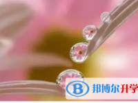 廣元2022年中考各科高頻考點
