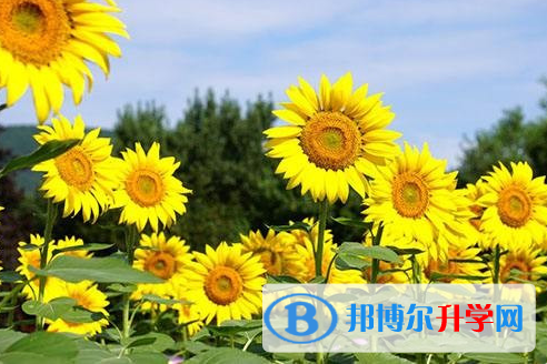 廣元2022年中考需要準備什么