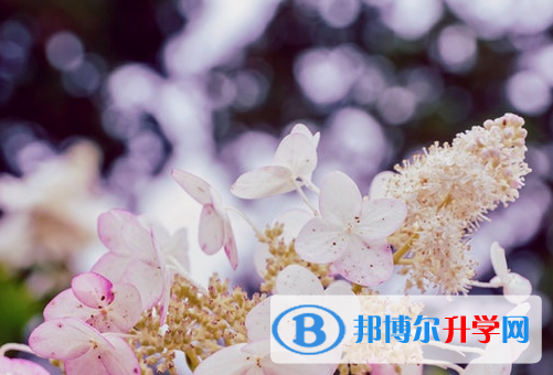 廣元2022年中考是否有高價(jià)生