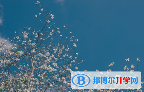 廣元2022年中考沒(méi)考好可以復(fù)讀嗎