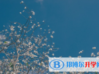 廣元2022年中考沒考好可以復讀嗎
