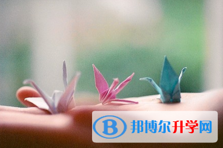 廣元2022年今年中考時間是幾號