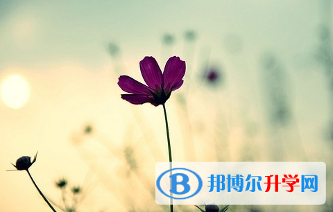廣元2022年沒有學籍可以參加中考嗎