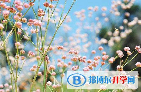 廣元2022年中考報名是哪個網站