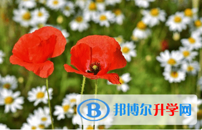 廣元2022年中考報名系統網址