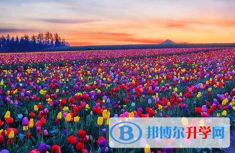 廣元2022年中考網(wǎng)絡(luò)應(yīng)用服務(wù)平臺登錄