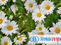 廣元2022年中考調劑志愿