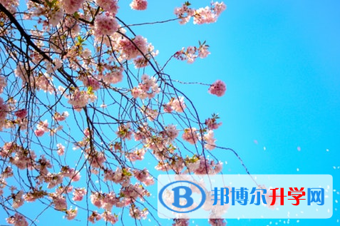 廣元2022年中考怎么填志愿才可以上到好的學校