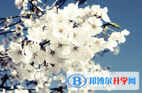 廣元2022年中考踩線(xiàn)生如何填志愿