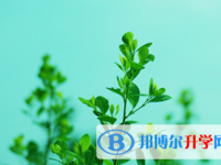 遂寧2022年如何查詢中考錄取結果