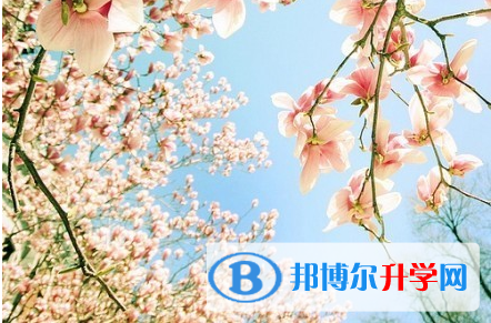 遂寧2022年網上查詢中考成績