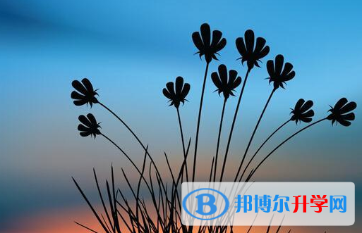 遂寧2022年中考報名查詢