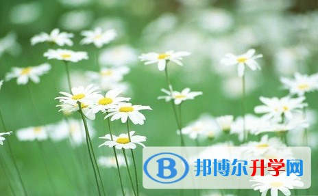 遂寧2022年中考成績(jī)查詢?nèi)肟? width=