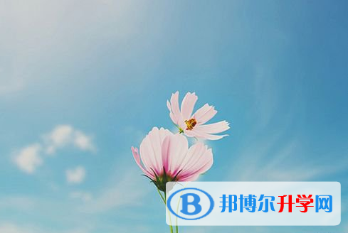遂寧2022年中考成績在哪里查詢