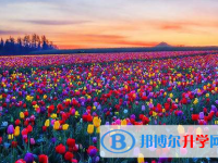 遂寧2022年中考看成績是在哪個網(wǎng)站