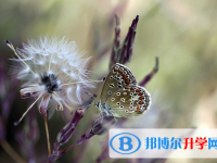 遂寧2022年中考網(wǎng)絡(luò)應(yīng)用服務(wù)平臺成績查詢