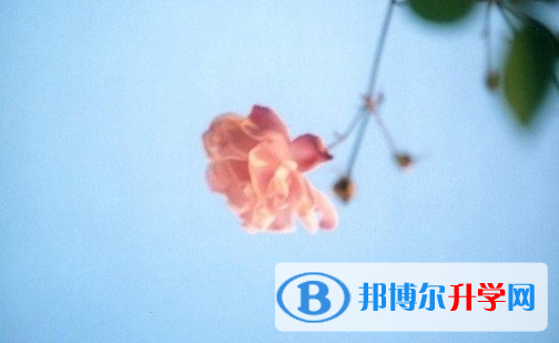遂寧2022年如何填中考學校