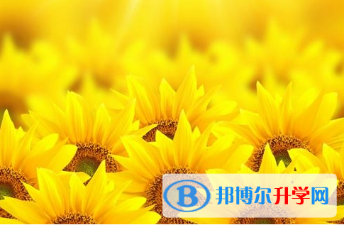 遂寧2022年中考報名網站