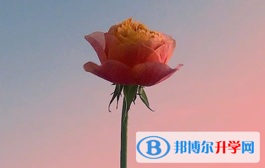 遂寧2022年中考查詢(xún)