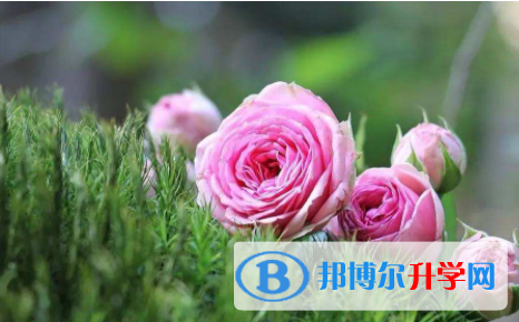 遂寧2022年中考成績今年怎么這么高