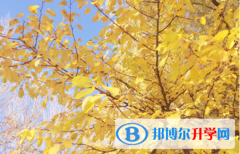 遂寧2022年中考錄取結果