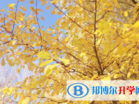 遂寧2022年中考錄取結果