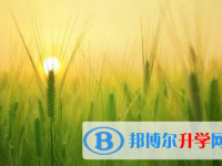 遂寧2022年中考錄取結果查詢