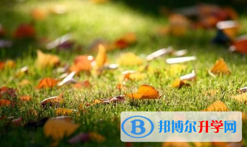 遂寧2022年中考錄取線是多少