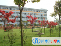 遂寧2022年中考上的學(xué)校