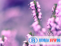 遂寧2022年中考升學(xué)錄取比例