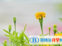 遂寧2022年中考生落榜后可不可以選擇復(fù)讀