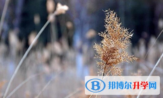 遂寧2022年中考填志愿的網站