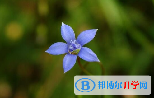 遂寧2022年中考填志愿統招和調劑