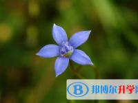 遂寧2022年中考填志愿統(tǒng)招和調(diào)劑