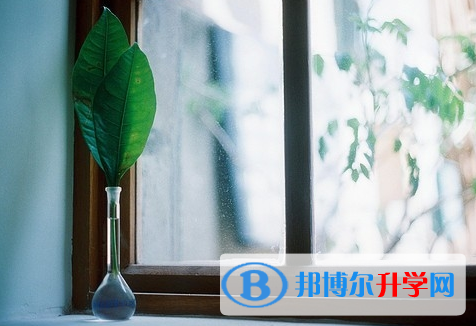 遂寧2022年中考統(tǒng)考成績(jī)