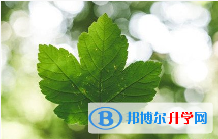 遂寧2022年中考網登錄