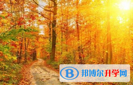 遂寧2022年中考網錄取系統
