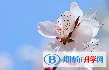 遂寧2022年中考網絡登錄