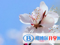 遂寧2022年中考網(wǎng)絡(luò)登錄