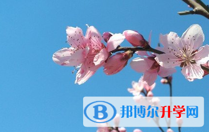 遂寧2022年中考網(wǎng)絡(luò)服務(wù)平臺(tái)