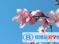 遂寧2022年中考網(wǎng)絡(luò)服務(wù)平臺(tái)